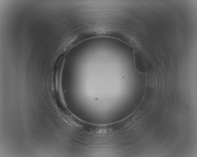 X0000067890740200604131328