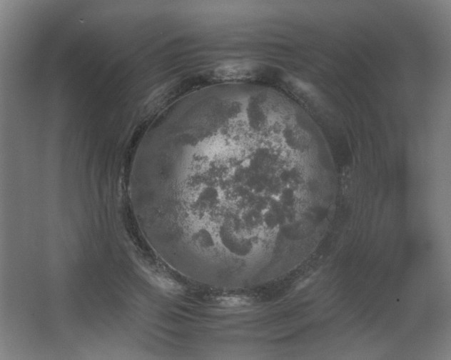 X0000067890741200604131328