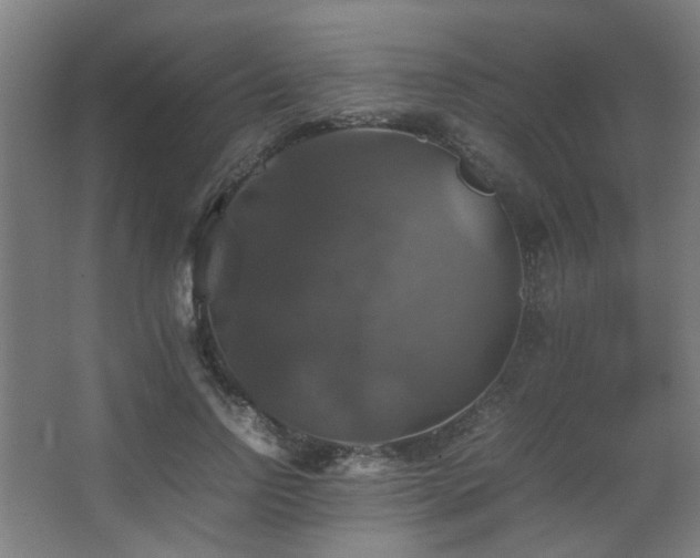 X0000067890742200604131328