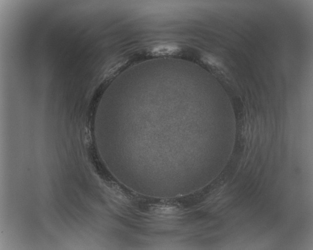 X0000067890743200604131328