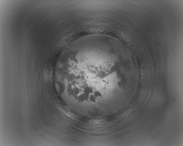 X0000067890745200604131328