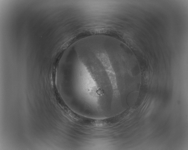 X0000067890746200604131328