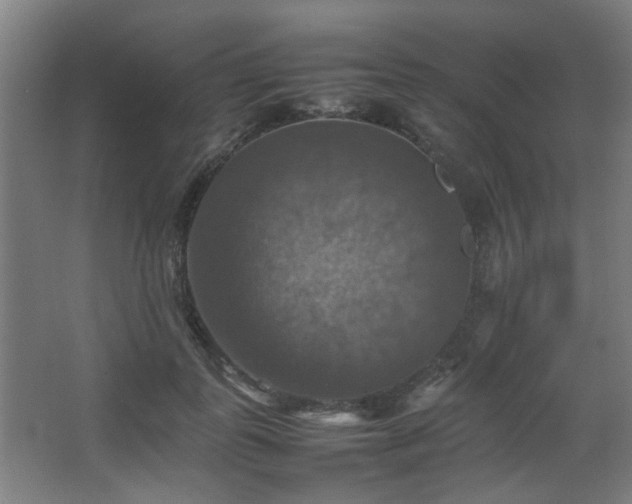 X0000067890747200604131328