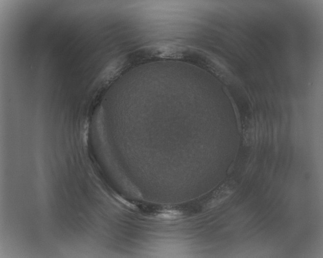 X0000067890748200604131328