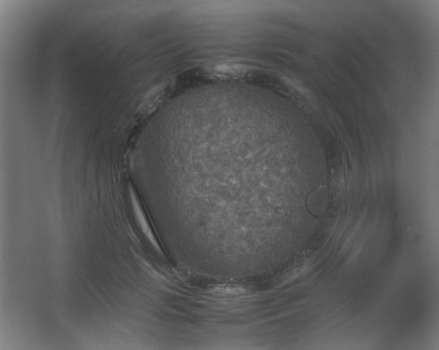 X0000067890749200604131328