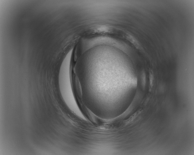 X0000067890750200604131328