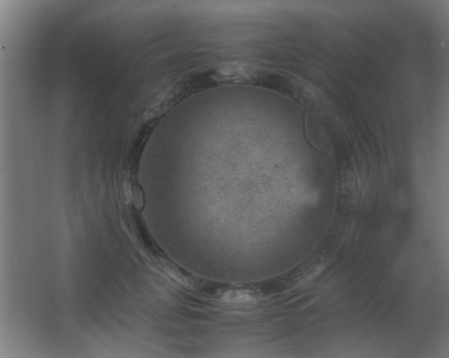 X0000067890751200604131328