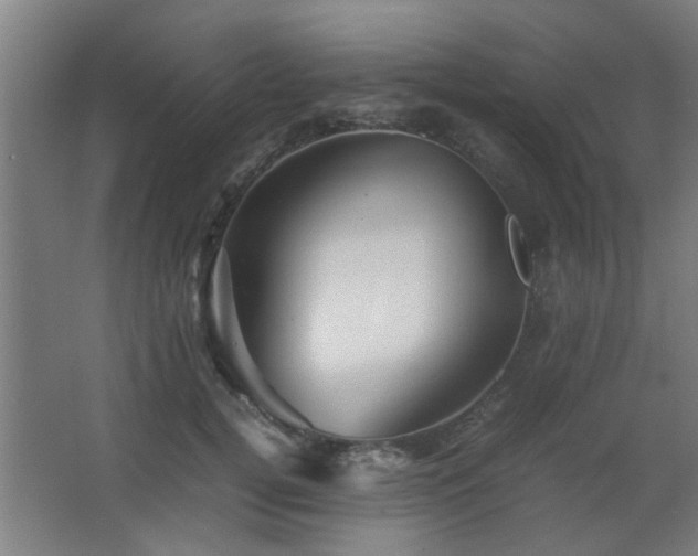 X0000067890752200604131328