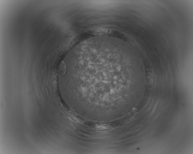 X0000067890753200604131328