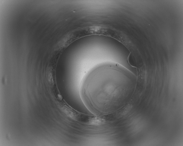 X0000067890754200604131328