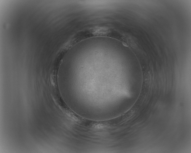 X0000067890755200604131328