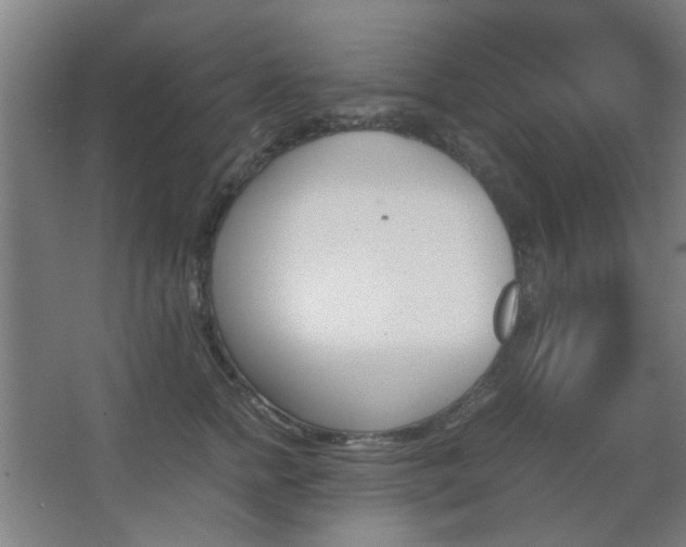 X0000067890758200604131328