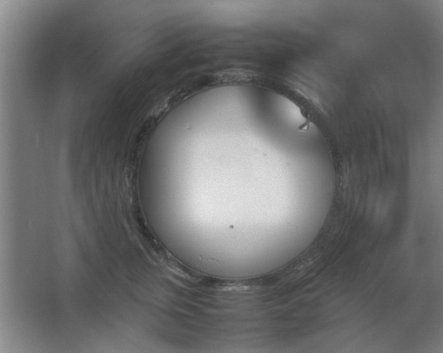 X0000067890759200604131328