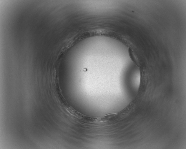 X0000067890760200604131328