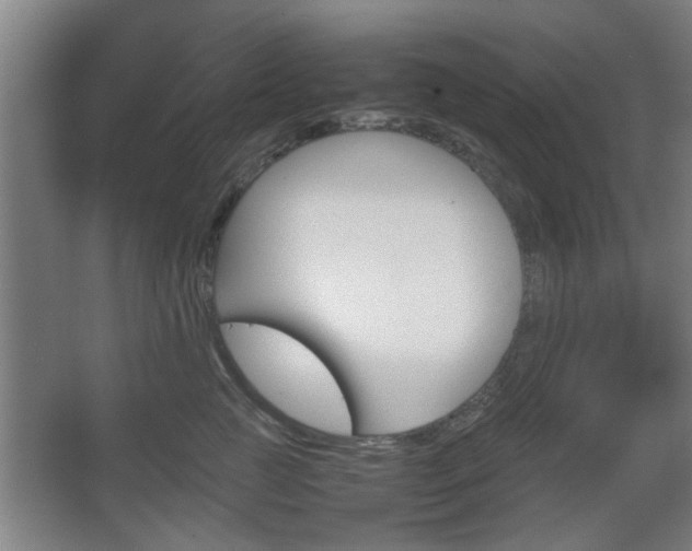 X0000067890761200604131328