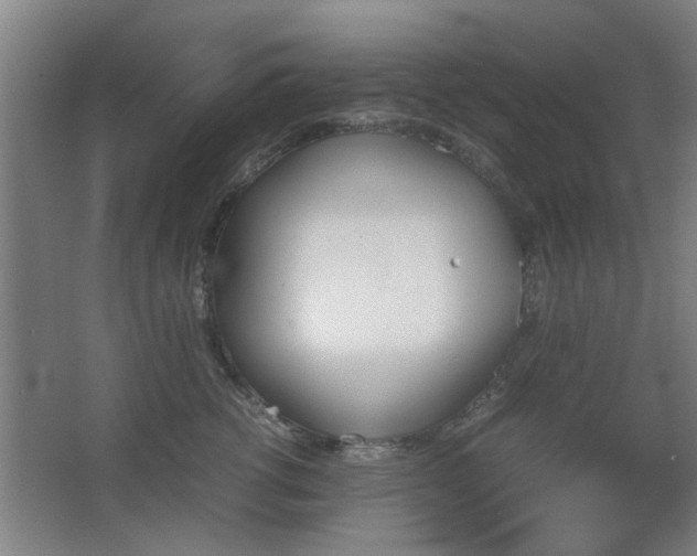 X0000067890762200604131328