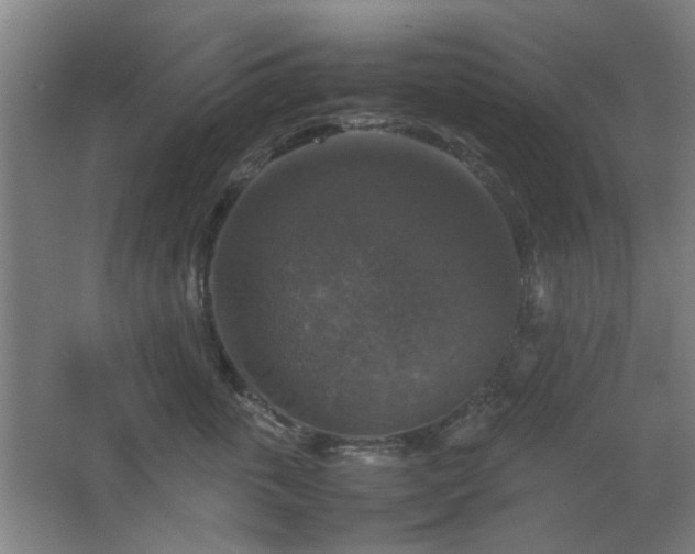 X0000067890763200604131328