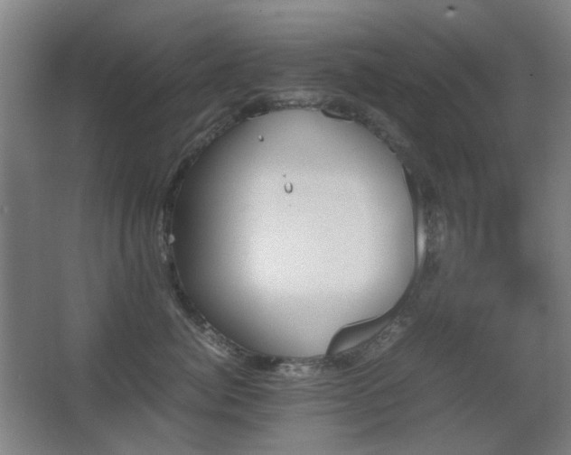 X0000067890764200604131328