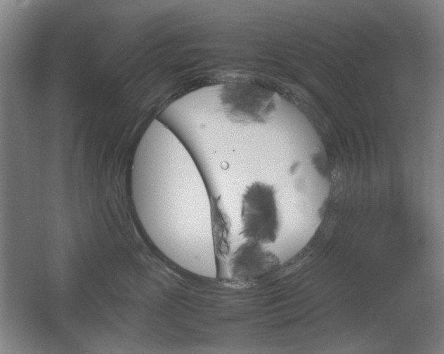 X0000067890765200604131328