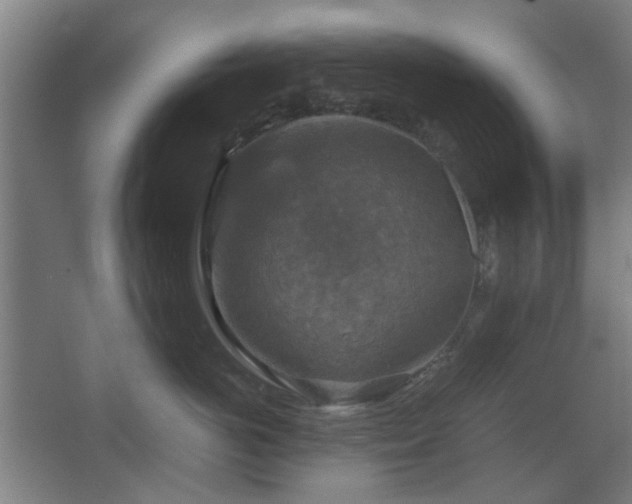 X0000067890766200604131328