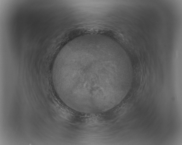 X0000067890769200604131327