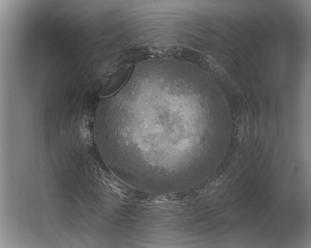 X0000067890770200604131327