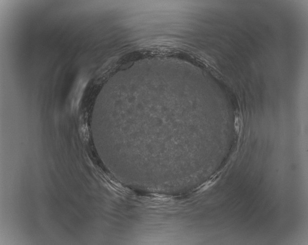 X0000067890771200604131327