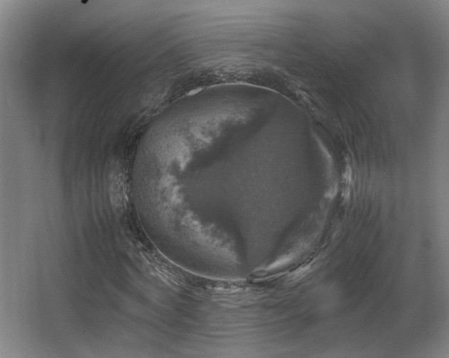 X0000067890772200604131327