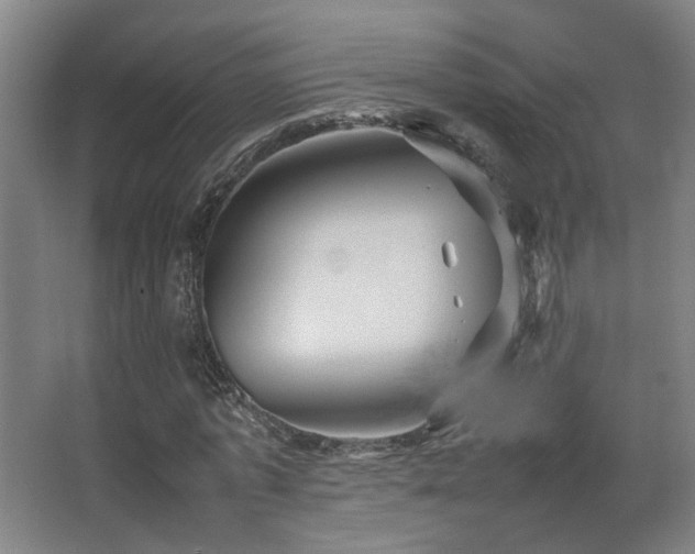 X0000067890773200604131327