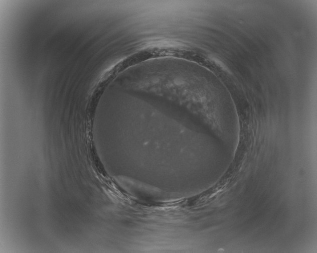 X0000067890775200604131327