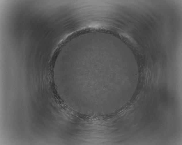 X0000067890776200604131327