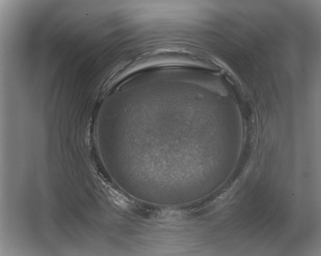 X0000067890777200604131327