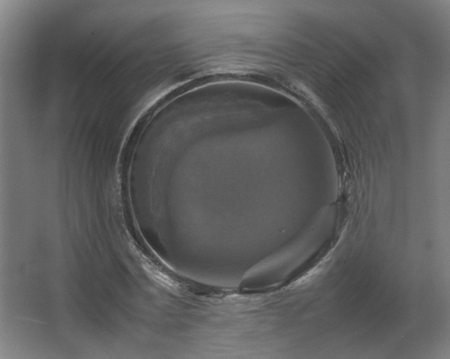 X0000067890779200604131327