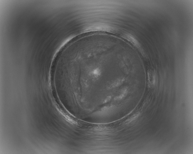 X0000067890780200604131327