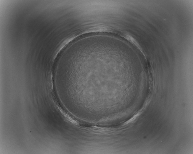 X0000067890781200604131327