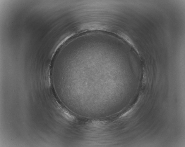 X0000067890782200604131327