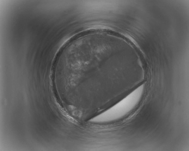 X0000067890783200604131327