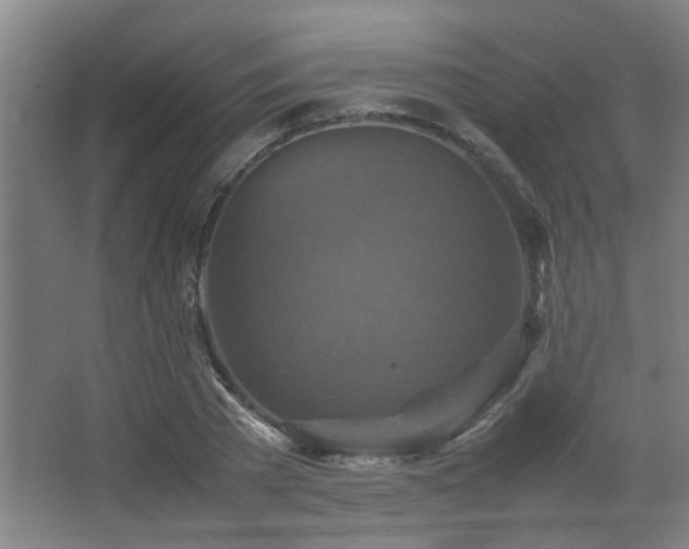 X0000067890785200604131327