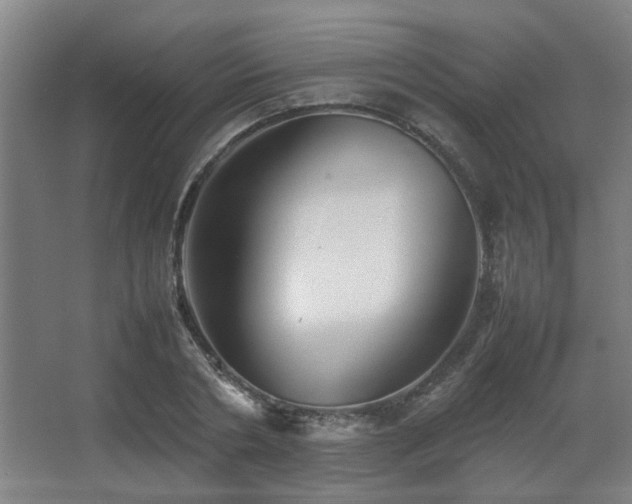 X0000067890786200604131327