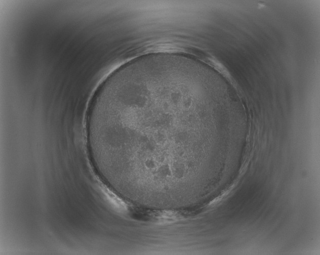 X0000067890787200604131327