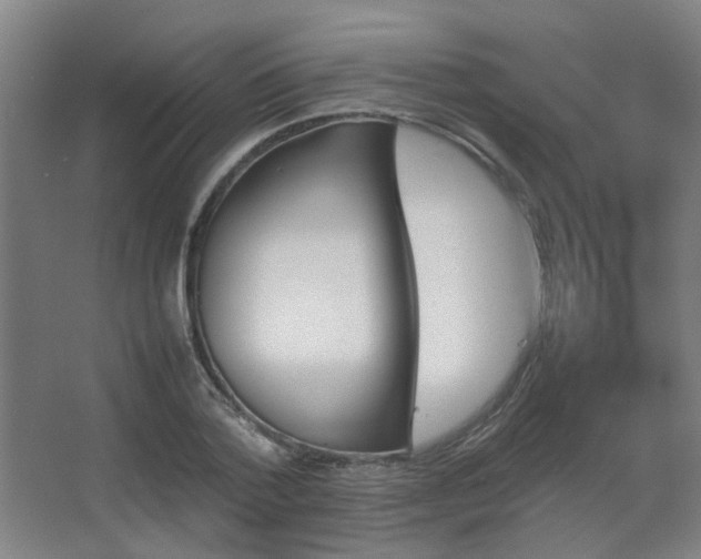 X0000067890788200604131327