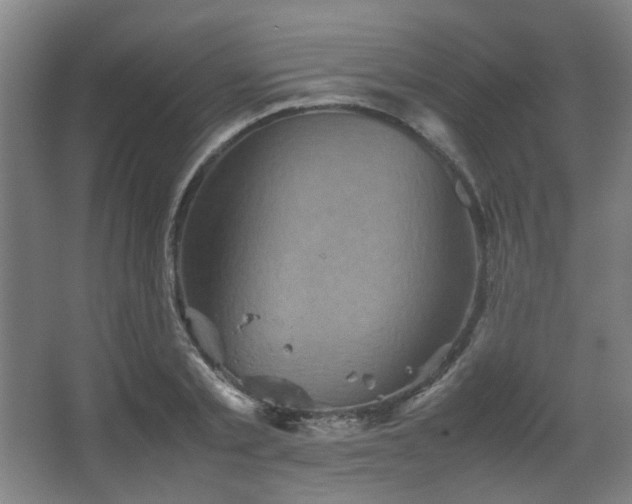 X0000067890789200604131327