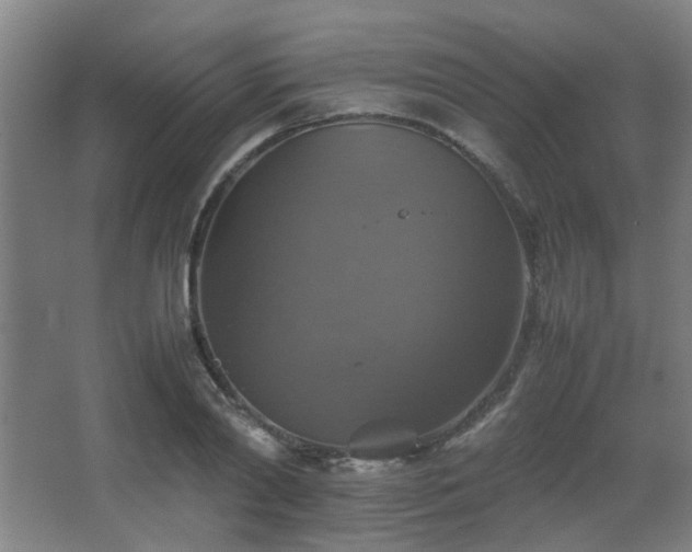 X0000067890790200604131327