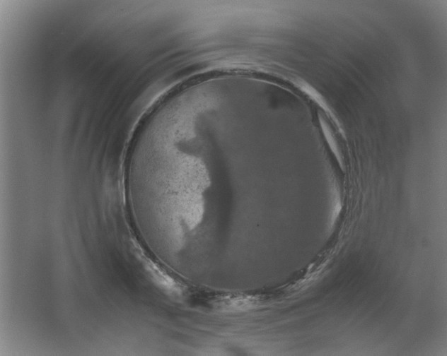 X0000067890791200604131327