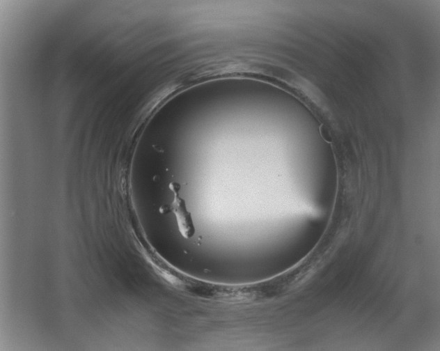 X0000067890793200604131327