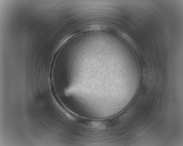 X0000067890794200604131327