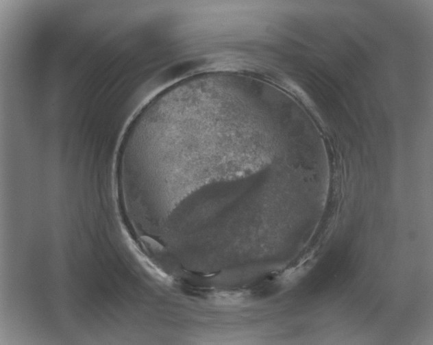 X0000067890795200604131327