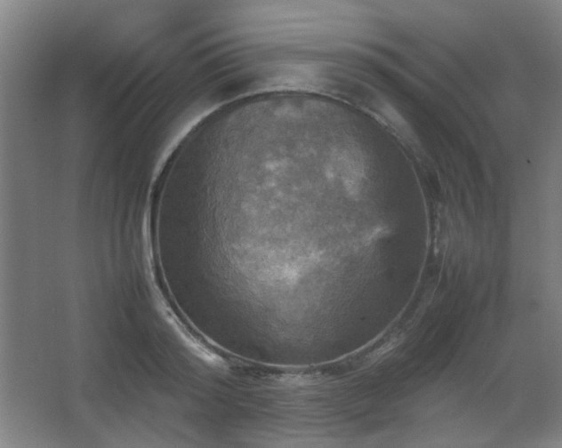 X0000067890796200604131327