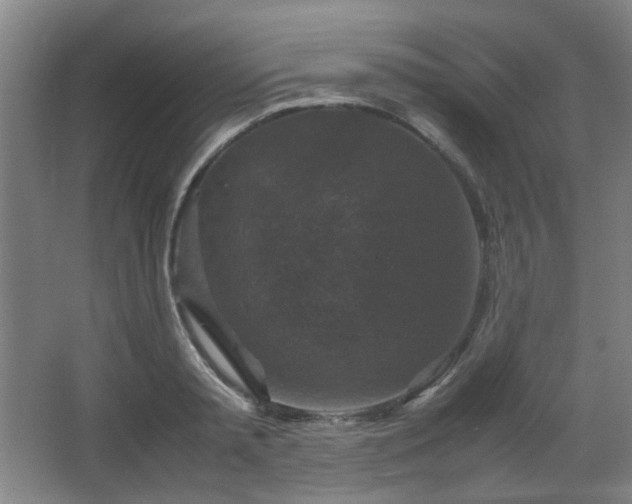 X0000067890797200604131327