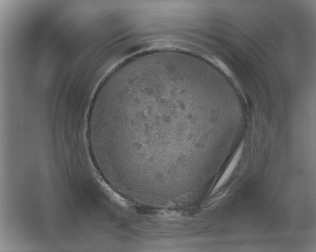 X0000067890799200604131327